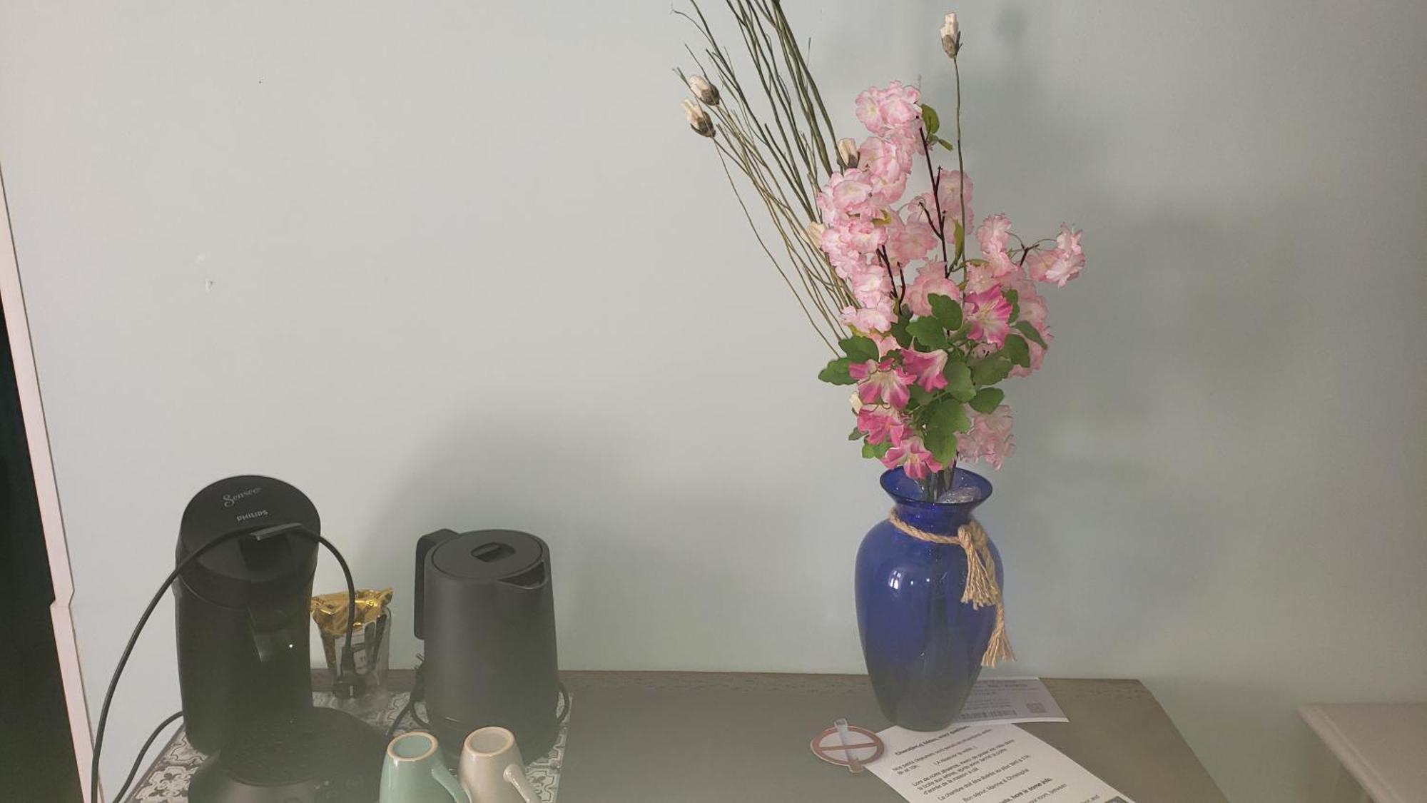 4 Safraniers Bed & Breakfast ซิญองส์-ลาเกสกาด ภายนอก รูปภาพ
